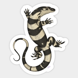 Lace Monitor Sticker